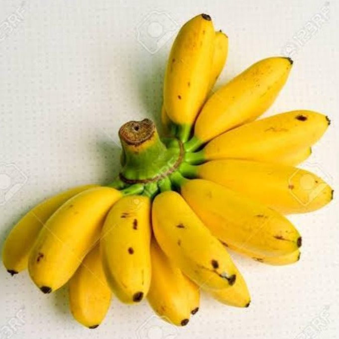 Organic Lady finger banana