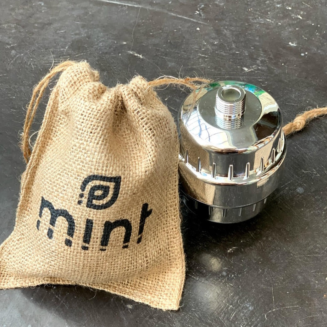 Mint Shower Filter / Each
