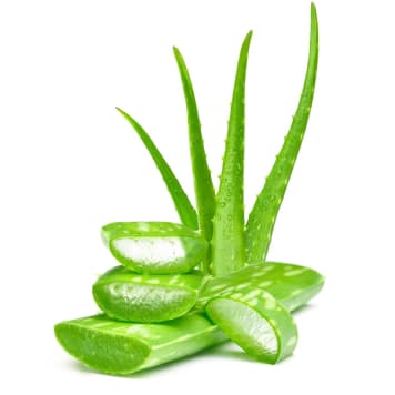 Aloe Vera Gel / Gram - Zero Waste Bali