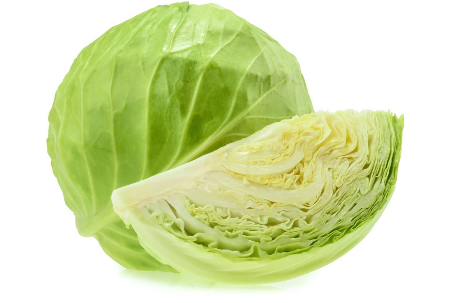 Organic Cabbage Vegetable / 500 gr
