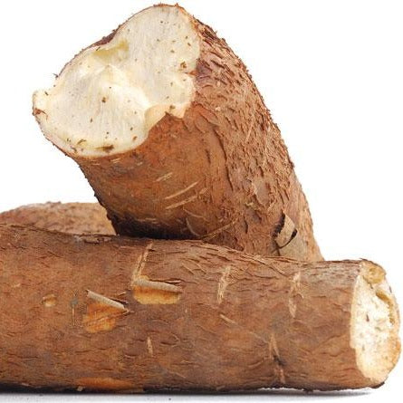 Organic Cassava