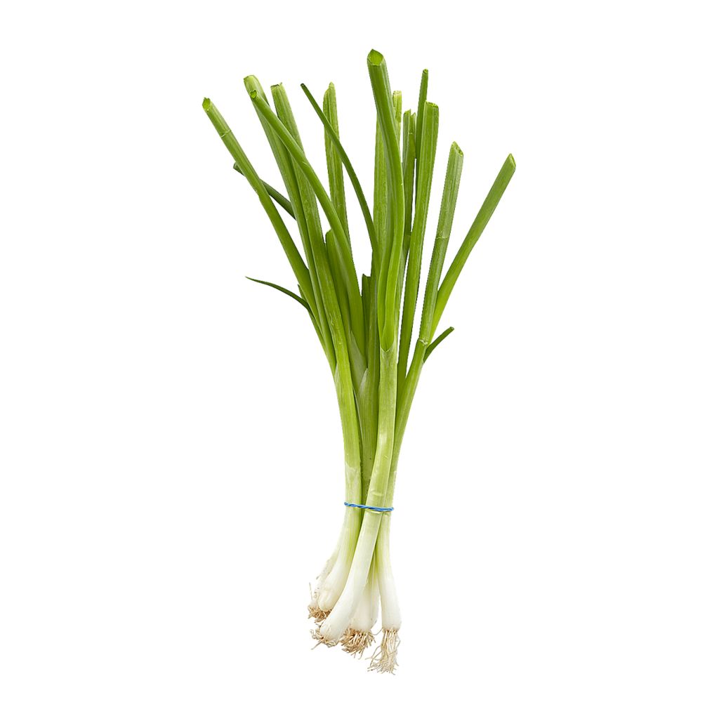 Organic Green Onion / 250 gr